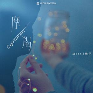 成人吸奶美女好看视频破解版下载
